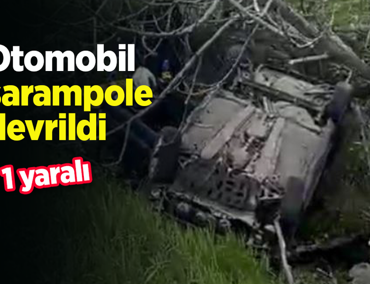 Otomobil şarampole devrildi: 1 yaralı