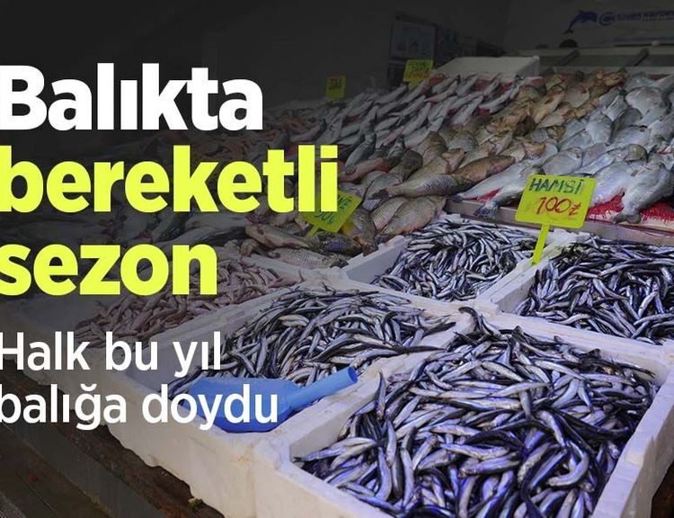 Balıkta bereketli sezon: "Halk bu yıl balığa doydu"