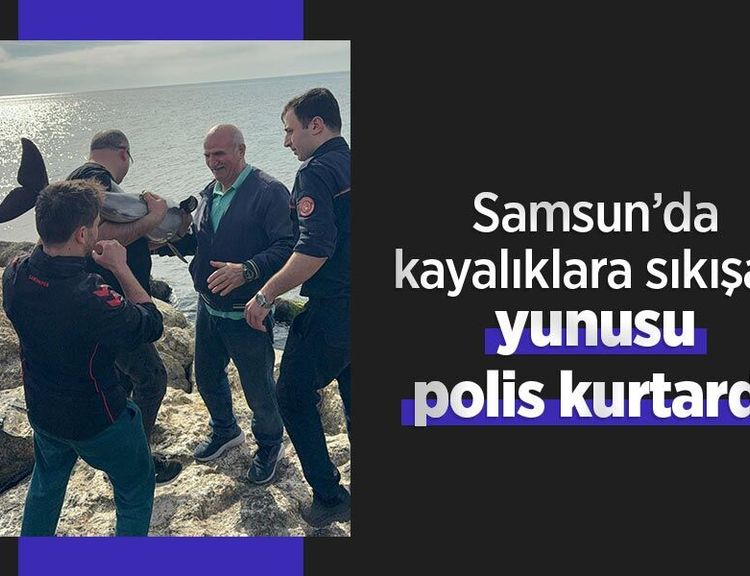 Samsun’da kayalıklara sıkışan yunusu polis kurtardı