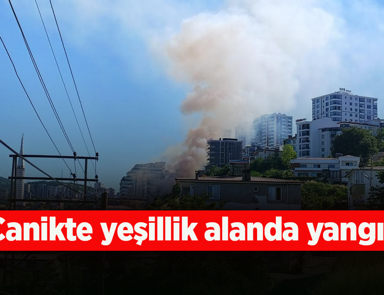 Canik'te yeşillik alanda yangın