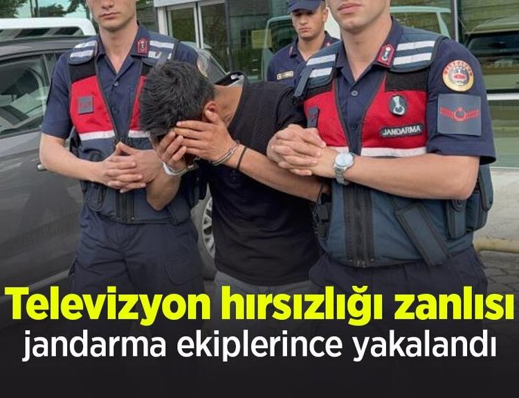 Televizyon hırsızlığı zanlısı, jandarma ekiplerince yakalandı