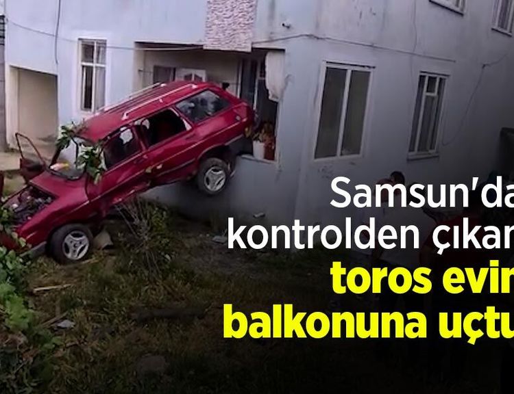 Samsun'da kontrolden çıkan toros evin balkonuna uçtu