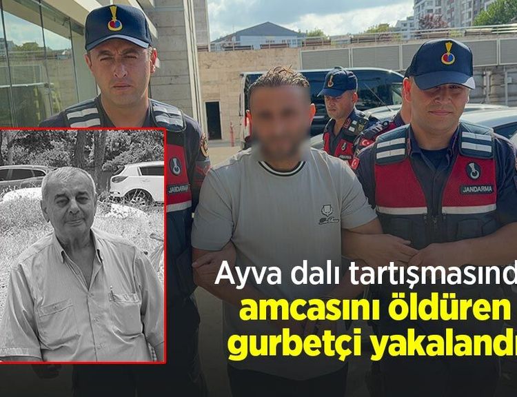 Ayva dalı tartışmasında amcasını öldüren gurbetçi yakalandı