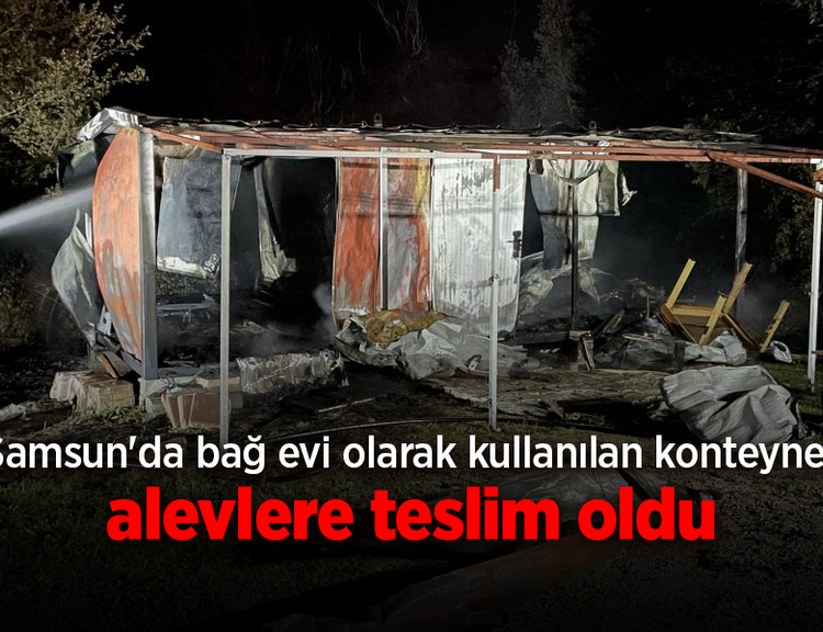 Kavak'ta konteyner ev yangını: İçindeki eşyalar kül oldu
