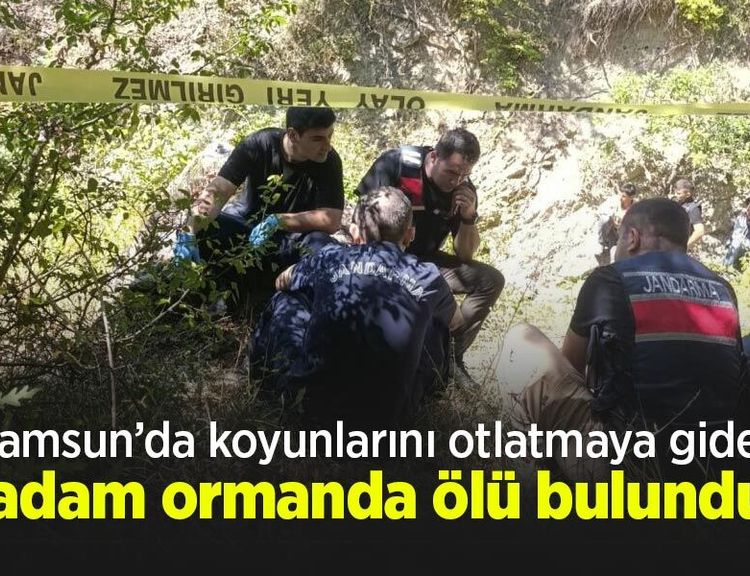 Samsun’da koyunlarını otlatmaya giden adam ormanda ölü bulundu