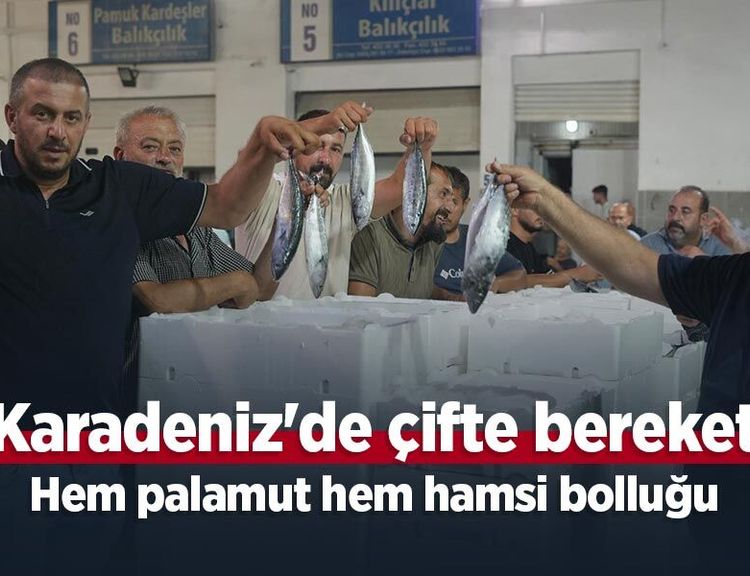 Karadeniz'de çifte bereket: Hem palamut hem hamsi bolluğu