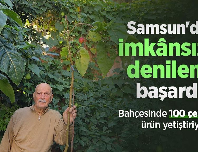 Samsun'da imkânsız denileni başardı! Bahçesinde 100 çeşit ürün yetiştiriyor