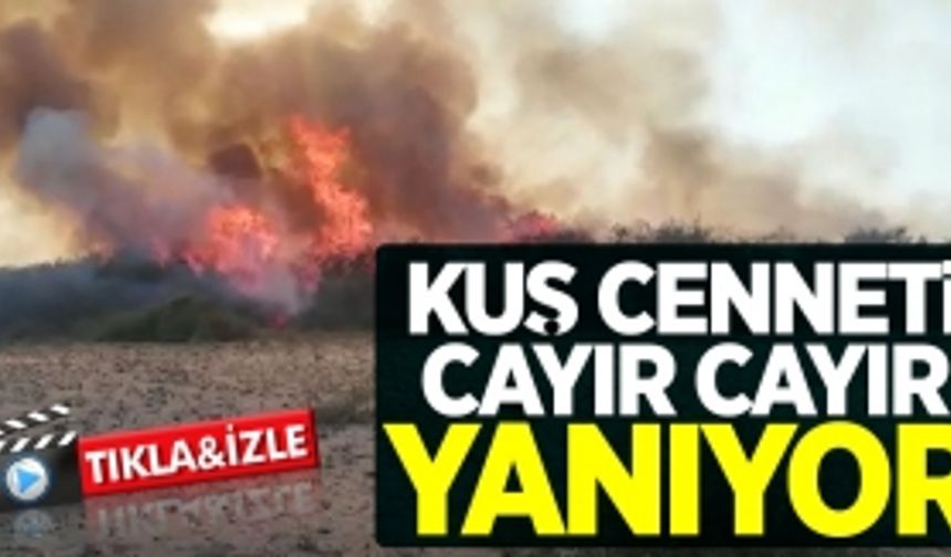 Kuş Cenneti cayır cayır yanıyor