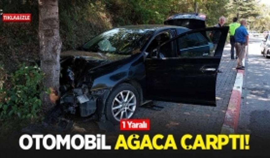 Otomobil ağaca çarptı: 1 yaralı!