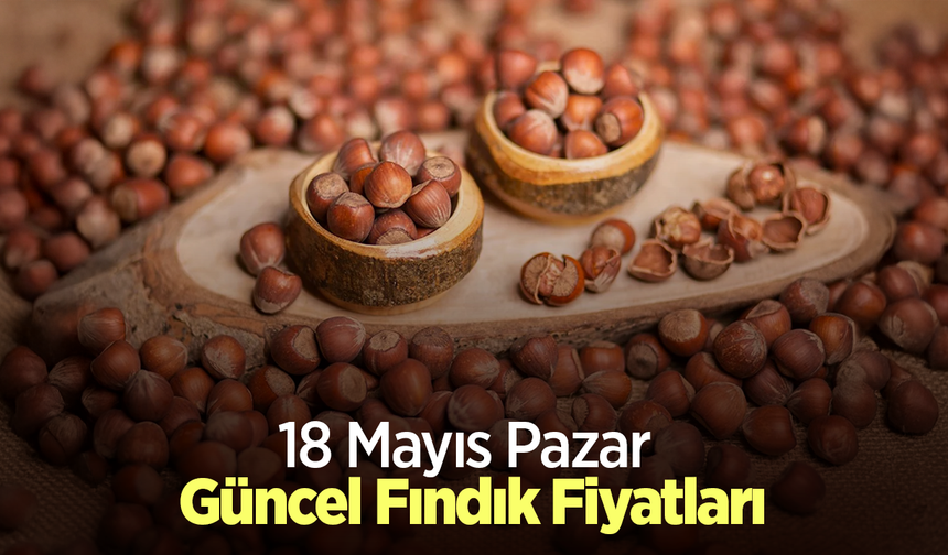 18 Mayıs 2025 Güncel Fındık Fiyatları