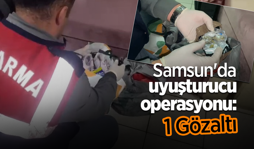 Samsun’da uyuşturucu operasyonu:1 gözaltı