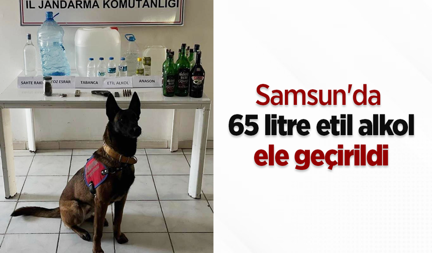 Samsun'da 65 litre etil alkol ele geçirildi