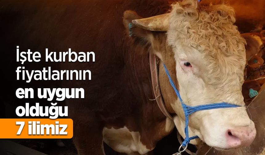 İşte kurban fiyatlarının en uygun olduğu 7 ilimiz