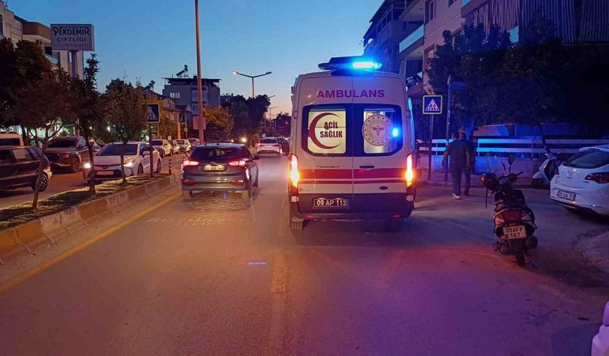 Yola fırlayan kedi kazaya neden oldu: 1 yaralı