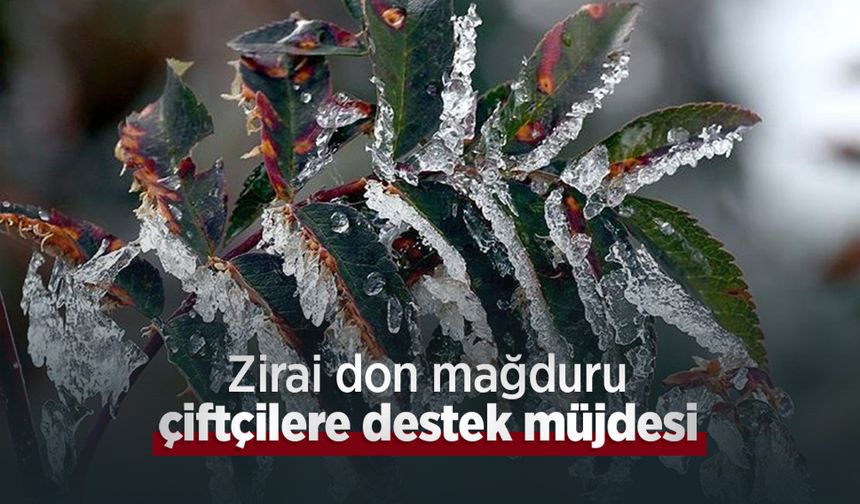 Zirai don mağduru çiftçilere destek müjdesi