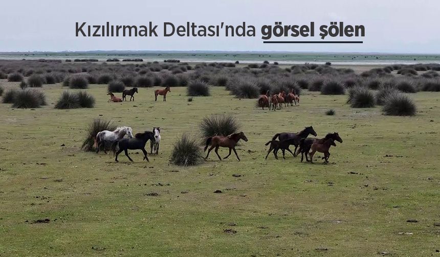 Kızılırmak Deltası'nda görsel şölen
