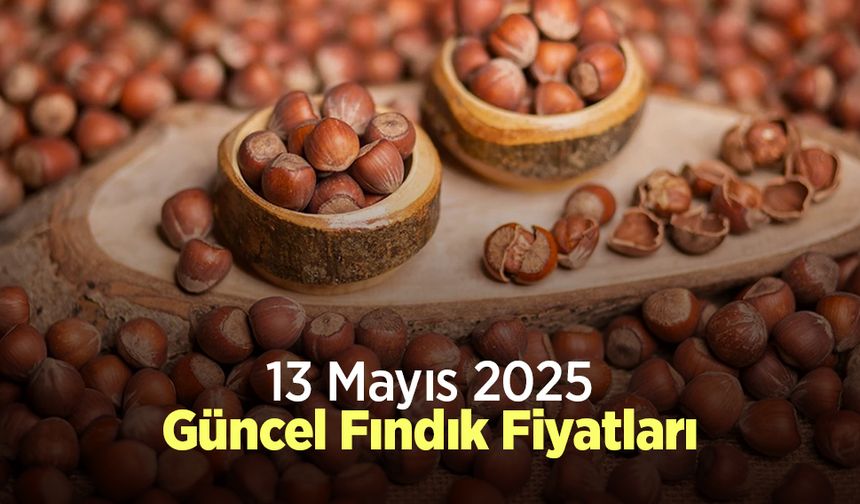 13 Mayıs 2025 Güncel Fındık Fiyatları