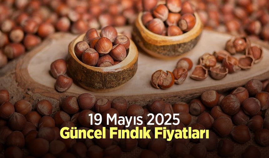 19 Mayıs 2025 Güncel Fındık Fiyatları