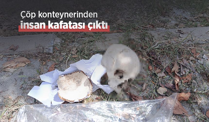 Çöp konteynerinden insan kafatası çıktı