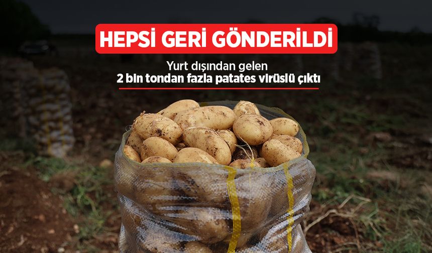 Hepsi geri gönderildi: Yurt dışından gelen 2 bin tondan fazla patates virüslü çıktı