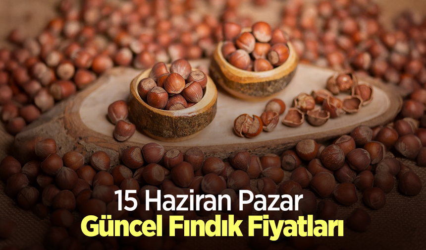 15 Haziran 2025 Güncel Fındık Fiyatları