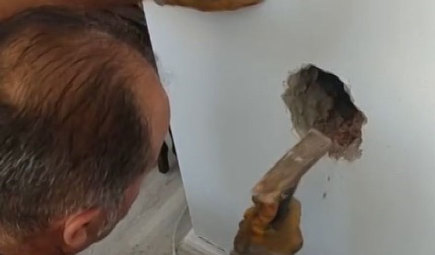 Bacada mahsur kalan kediyi itfaiye ekipleri kurtardı