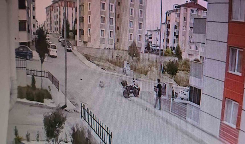 Trafik kazaları: 3 yaralı