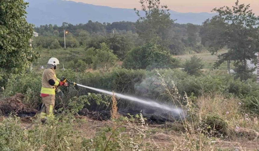 Yol kenarına atılan izmarit, otları yaktı