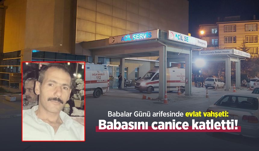Babalar Günü arifesinde evlat vahşeti: Babasını canice katletti!