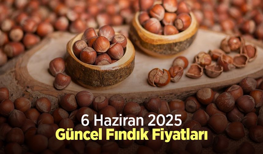 6 Haziran 2025 Güncel Fındık Fiyatları