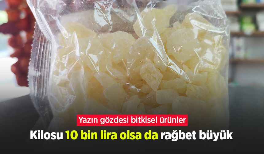 Kilosu 10 bin lira olsa da rağbet büyük: Yazın gözdesi bitkisel ürünler