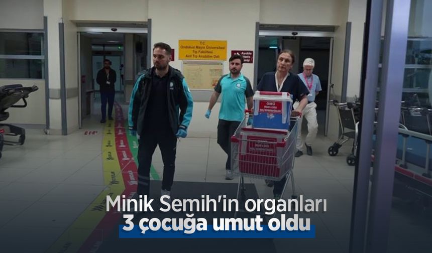 Minik Semih'in organları 3 çocuğa umut oldu
