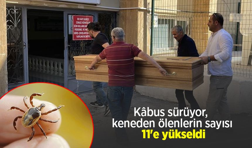 Kâbus sürüyor, keneden ölenlerin sayısı 11'e yükseldi