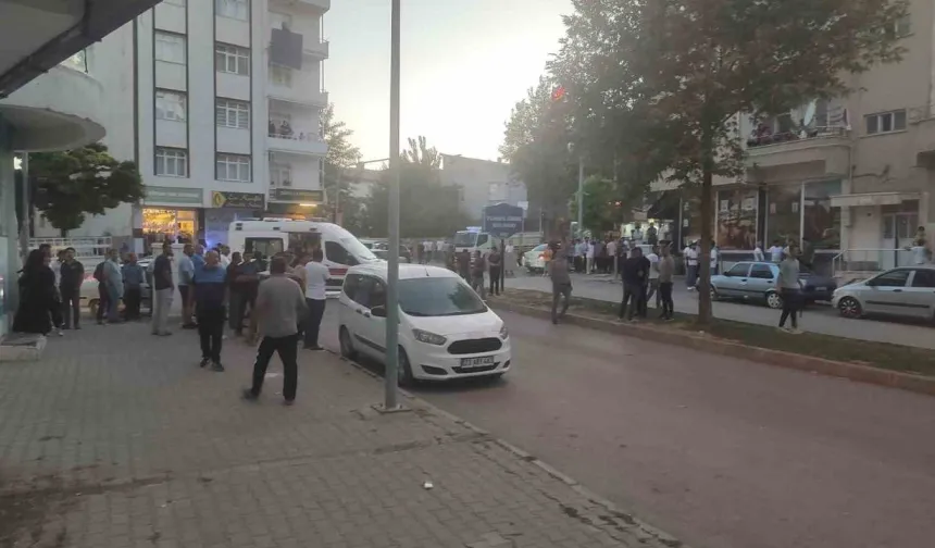 Mangal kömürü yüklü tır alev alev yandı