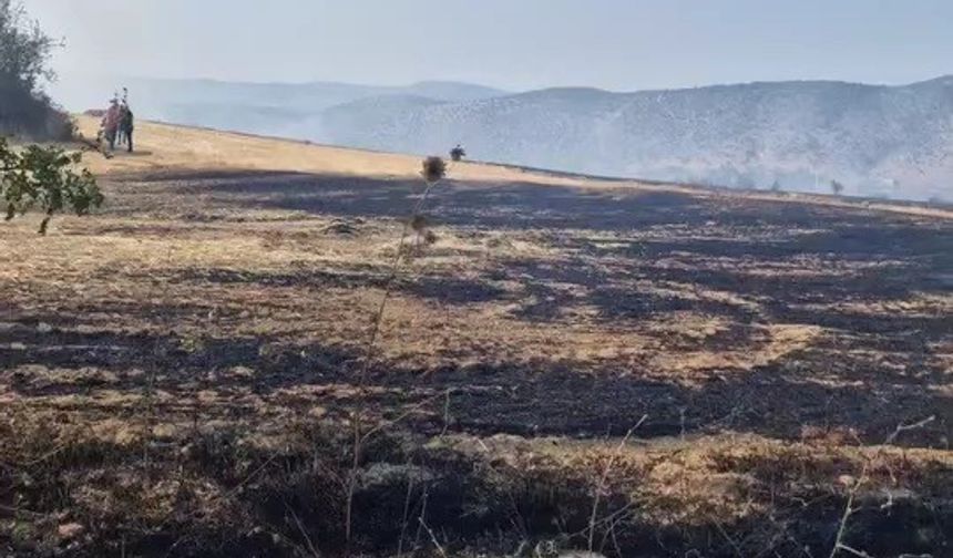çıkan anız yangını kontrol altına alındı