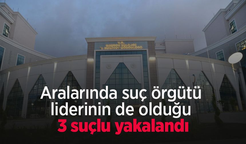 Aralarında suç örgütü liderinin de olduğu 3 suçlu yakalandı