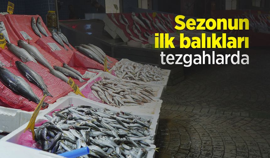 Sezonun ilk balıkları tezgahlarda