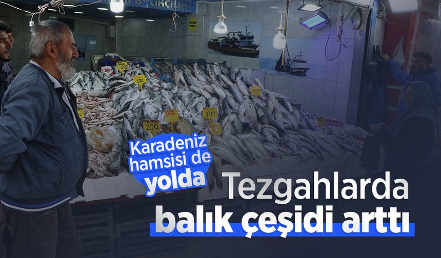 Tezgahlarda balık çeşidi arttı; Karadeniz hamsisi de yolda