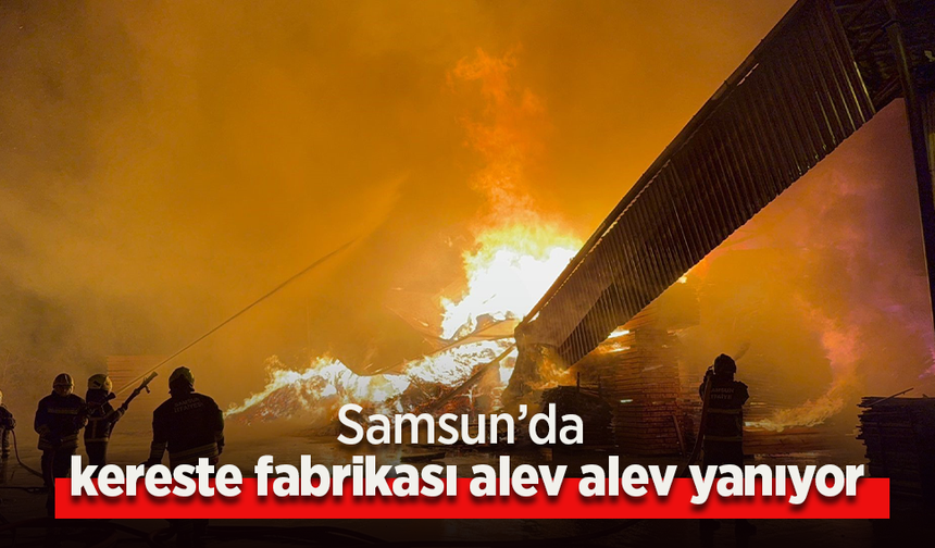 Samsun’da kereste fabrikası alev alev yanıyor.