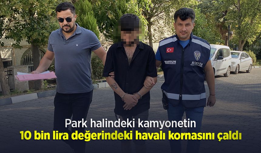 Park halindeki kamyonetin 10 bin lira değerindeki havalı kornasını çaldı
