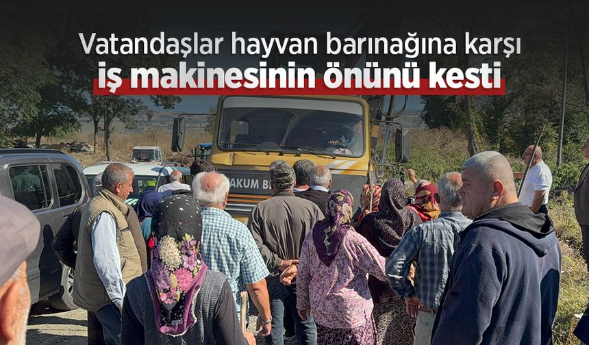 Vatandaşlar hayvan barınağına karşı iş makinesinin önünü kesti