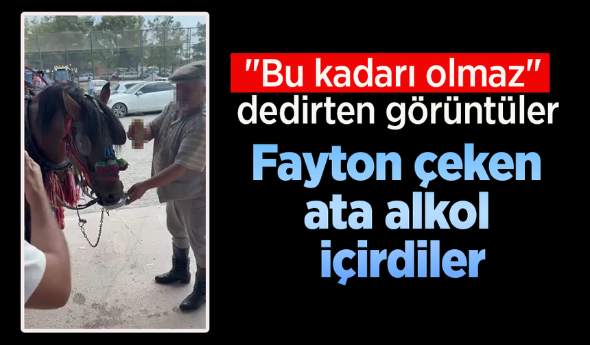 "Bu kadarı olmaz" dedirten görüntüler: Fayton çeken ata alkol içirdiler.