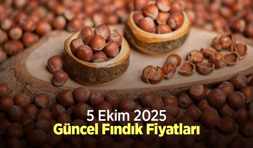 5 Ekim 2025 Güncel Fındık Fiyatları