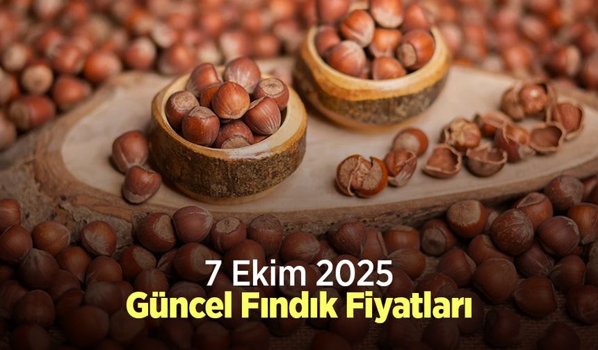 7 Ekim 2025 Güncel Fındık Fiyatları