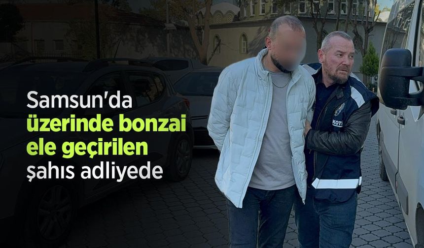 Samsun'da üzerinde bonzai ele geçirilen şahıs adliyede