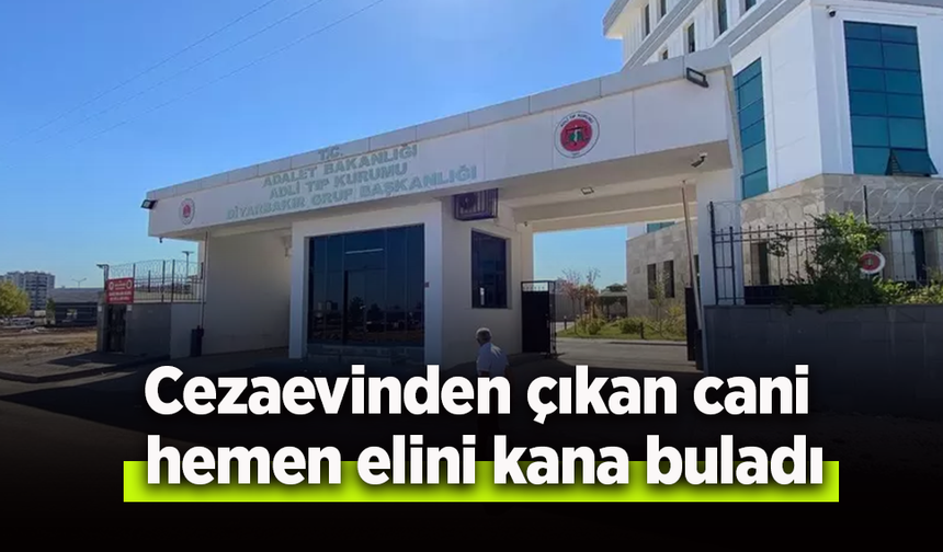 Cezaevinden çıkan cani hemen elini kana buladı