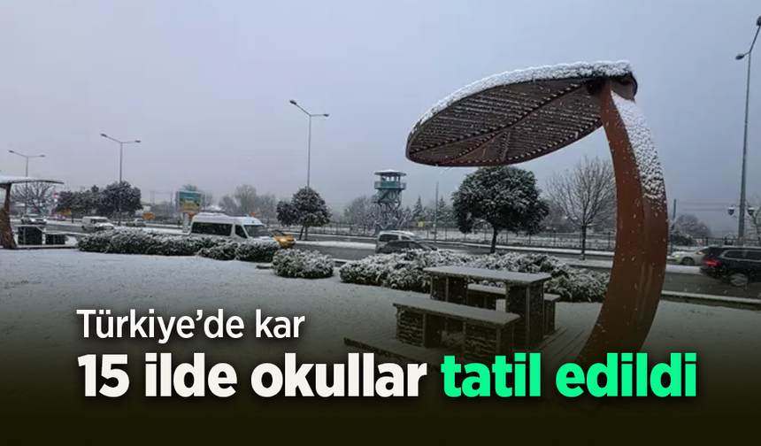 Türkiye'de kar: 15 ilde okullar tatil edildi