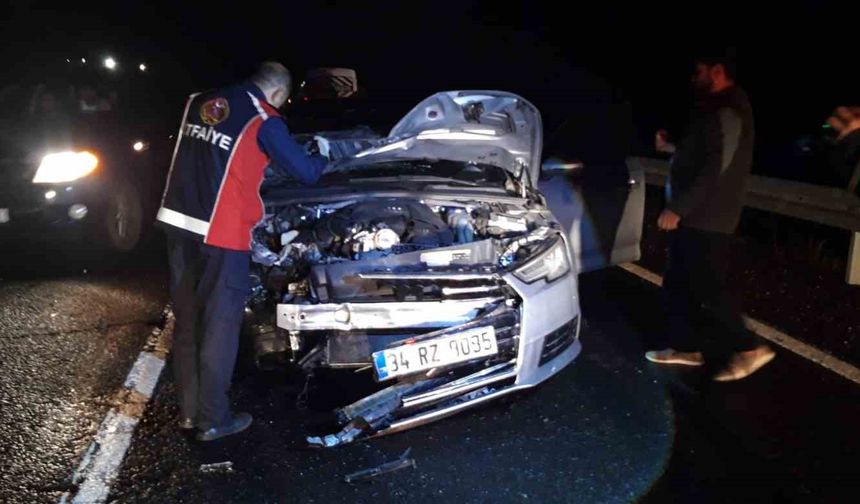 Mardin'de otomobilin çarptığı at telef oldu