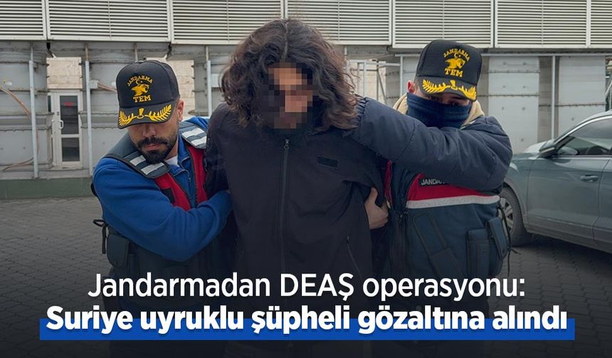 Jandarmadan DEAŞ operasyonu: Suriye uyruklu şüpheli gözaltına alındı