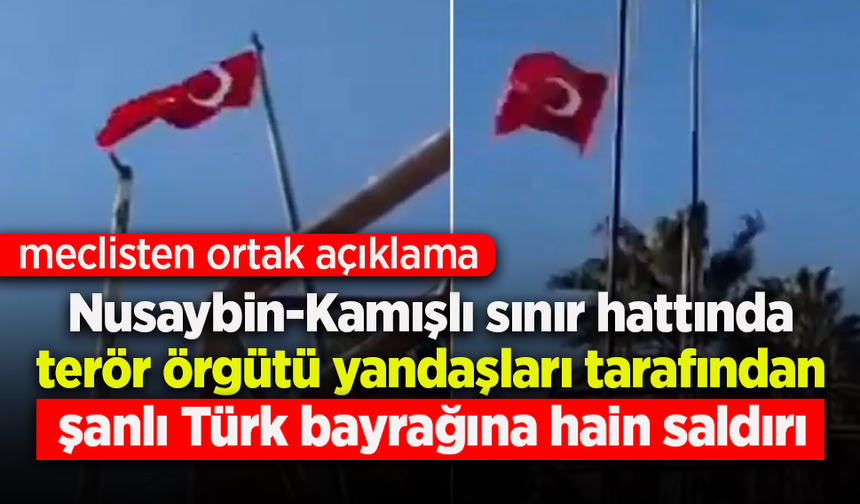 Nusaybin-Kamışlı sınır hattında terör örgütü yandaşları tarafından şanlı Türk bayrağına hain saldırı